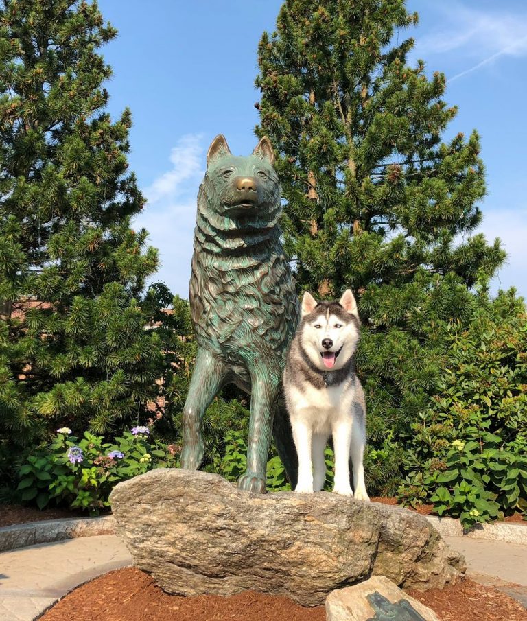 Jonathan Husky with Statue